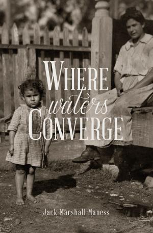 Cover of the book Where Waters Converge by Lynnette Bonner