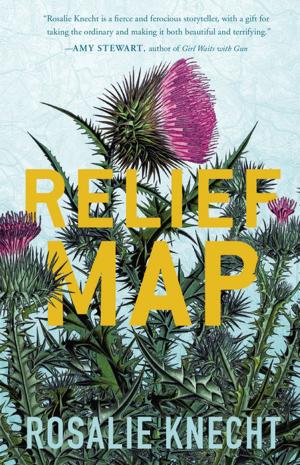 Cover of the book Relief Map by Veronique Olmi