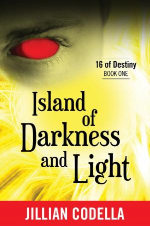 Cover of the book Island of Darkness and Light by Kriss Erickson