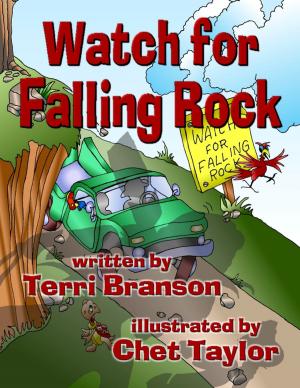Book cover of Watch for Falling Rock