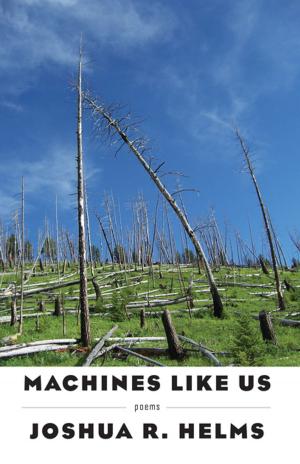 bigCover of the book Machines Like Us by 