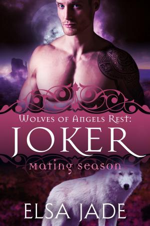 Cover of the book Joker by Elsa Jade