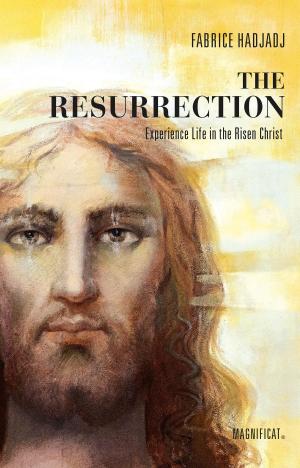Cover of the book The Resurrection by Jean-Philippe Fabre