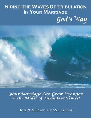 Cover of the book Riding the Waves of Tribulation in Your Marriage, God's Way by Anstin éric