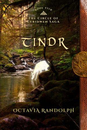 Cover of Tindr: Book Five of The Circle of Ceridwen Saga