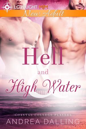 Cover of the book Hell and High Water by Cara Delacroix, Sienna Stone