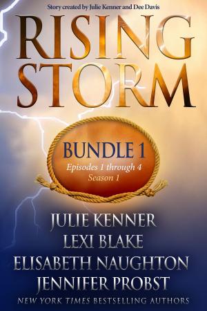 Cover of the book Rising Storm: Bundle 1, Episodes 1-4, Season 1 by Lexi Blake, Lisa Renee Jones, Larissa Ione, Cherise Sinclair