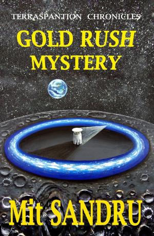 Book cover of Gold Rush Mystery