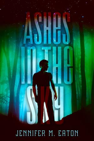 Cover of the book Ashes in the Sky by Melanie McFarlane