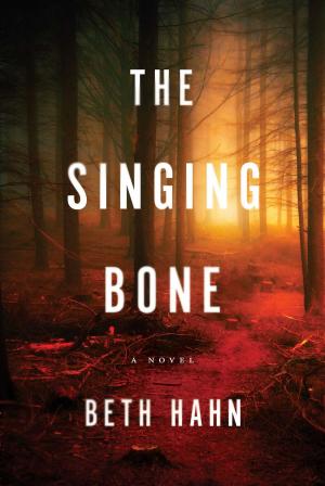 bigCover of the book The Singing Bone by 