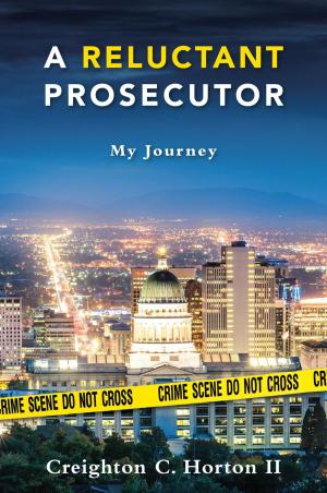 Cover of the book A Reluctant Prosecutor: My Journey by Paul Pellew