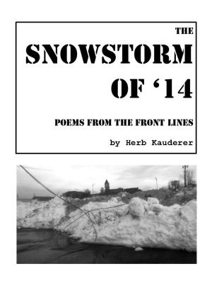 Cover of the book The Snowstorm of '14 by Jason Fisk