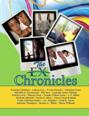 bigCover of the book The Ex Chronicles by 