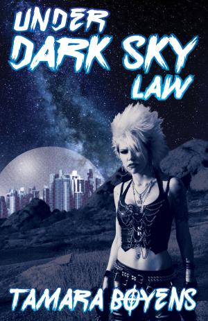 Cover of the book Under Dark Sky Law by Adrian J. Smith