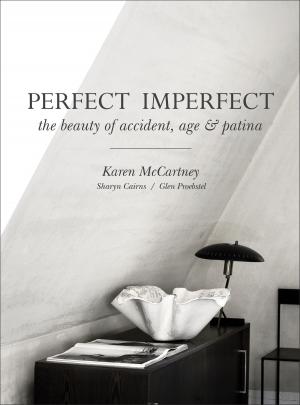 Cover of the book Perfect Imperfect by Michael Kirby