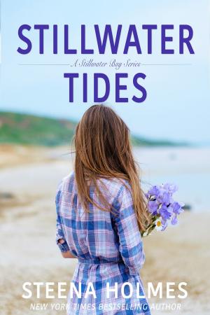 Book cover of Stillwater Tides