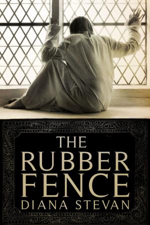 Book cover of The Rubber Fence