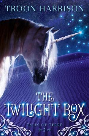 Cover of the book The Twilight Box by Shelley Adina, Übersetzung Jutta Entzian-Mandel