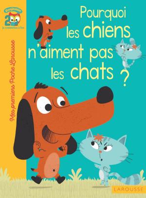 Cover of the book Pourquoi les chiens n'aiment pas les chats ? by Élise Delprat-Alvarès