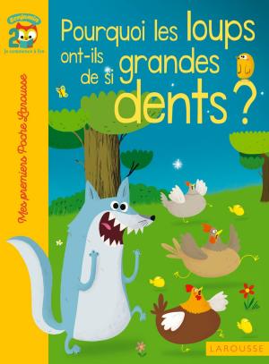 Cover of the book Pourquoi les loups ont-ils de si grandes dents by Vincent Brocvielle, François Reynaert