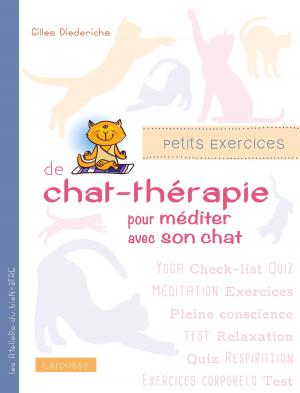 Cover of the book Petits exercices de chat-thérapie pour méditer avec son chat by Helen Monnet