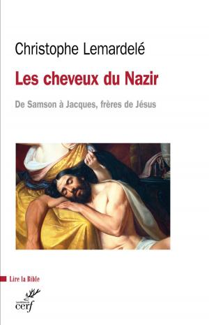Cover of Les cheveux du Nazir