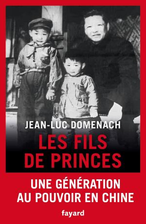 Cover of the book Les fils de princes by Janet Hall