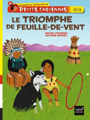 Cover of the book Le triomphe de Feuille-de-vent by Christine Palluy