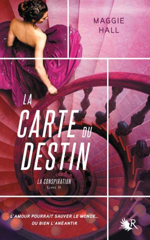 Cover of the book La Conspiration - Livre II by Fabrice DROUELLE, Marc DUGAIN