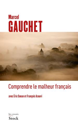 Book cover of Comprendre le malheur français