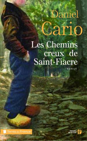 Book cover of Les chemins creux de Saint-Fiacre