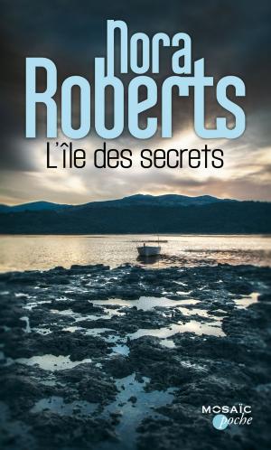 Cover of the book L'île des secrets by Robert P. Wells