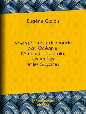 Cover of the book Voyage autour du monde par l'Océanie, l'Amérique centrale, les Antilles et les Guyanes by Henri Focillon, Amelot de la Houssaie, Baltasar Gracián