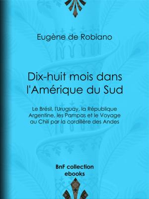 Cover of the book Dix-huit mois dans l'Amérique du Sud by Anatole France, Théophile Gautier, Paul Avril