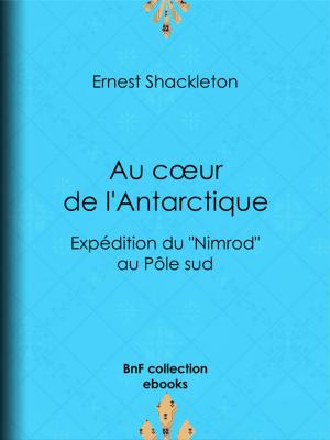 Book cover of Au coeur de l'Antarctique