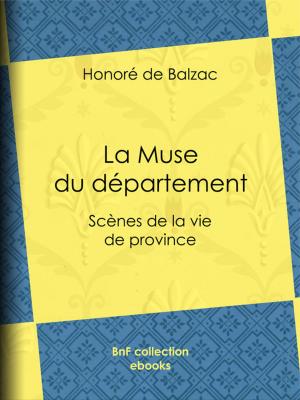 Cover of the book La Muse du département by Émile Zola