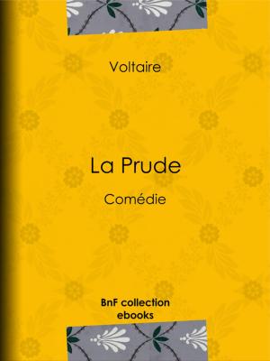 Cover of the book La Prude by Léon Benett, Jules Verne