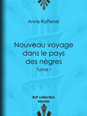 Cover of the book Nouveau voyage dans le pays des nègres by Alexis de Tocqueville