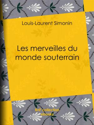 Book cover of Les merveilles du monde souterrain