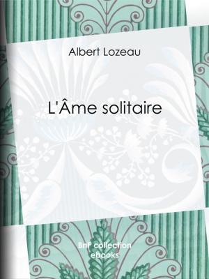 Cover of the book L'Âme solitaire by Étienne-Léon de Lamothe-Langon