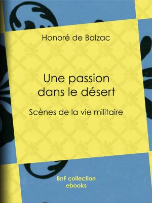 Cover of the book Une passion dans le désert by Albert Cler, Paul Gavarni, Janet-Lange, Honoré Daumier