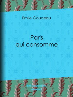 Cover of the book Paris qui consomme by François Mons