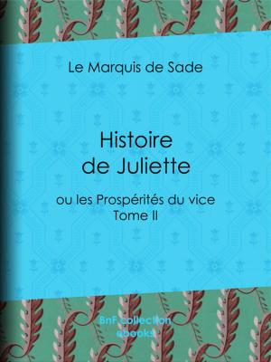 Cover of the book Histoire de Juliette by Guillaume Apollinaire, Anonyme