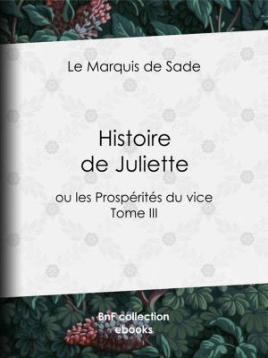 Cover of the book Histoire de Juliette by Édouard Corbière
