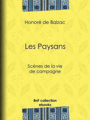 Cover of the book Les Paysans by Louise Colet