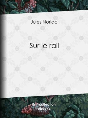 Cover of the book Sur le rail by Pierre Alexis de Ponson du Terrail