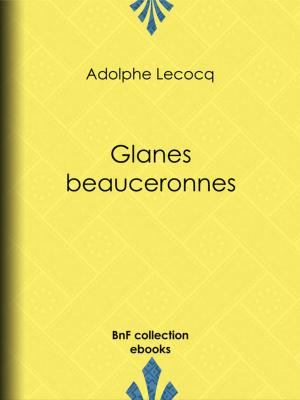 Cover of the book Glanes beauceronnes by Honoré de Balzac