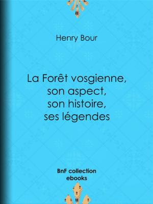 Cover of the book La Forêt vosgienne, son aspect, son histoire, ses légendes by Auguste de Belloy