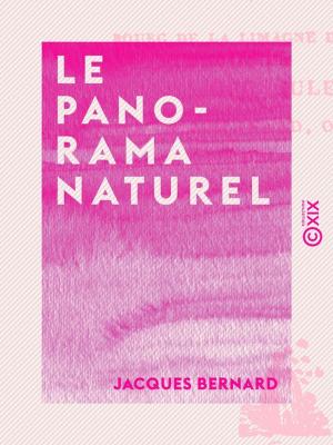 Cover of the book Le Panorama naturel by Gustave Larroumet