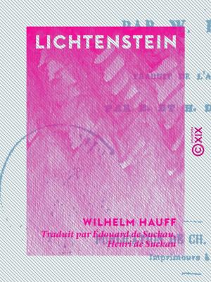 Cover of the book Lichtenstein by Maxime du Camp
